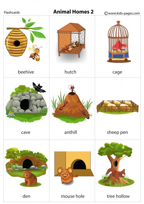 Animal Homes 2 flashcard